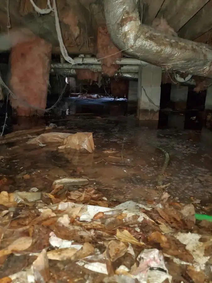 Crawl space flood assessment for Leak Detection & Repair in Grand Island