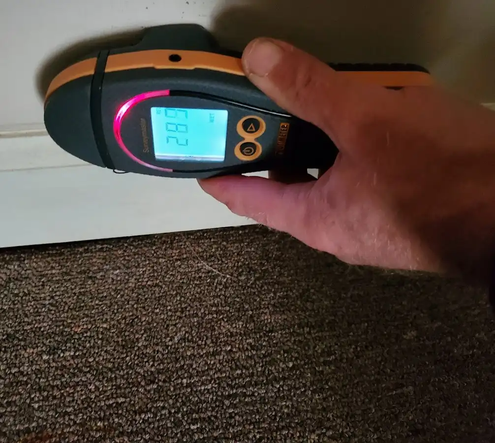 Moisture detection at baseboard during Mold Inspection & Testing in Grand Island